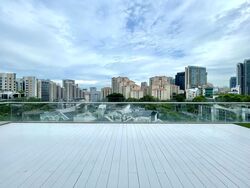 Oxley Residence (D9), Condominium #509973091